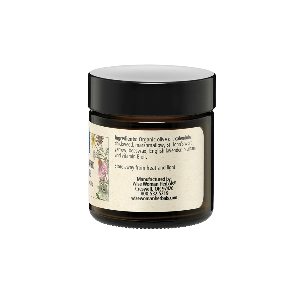 Wild Weed Salve 1 oz.