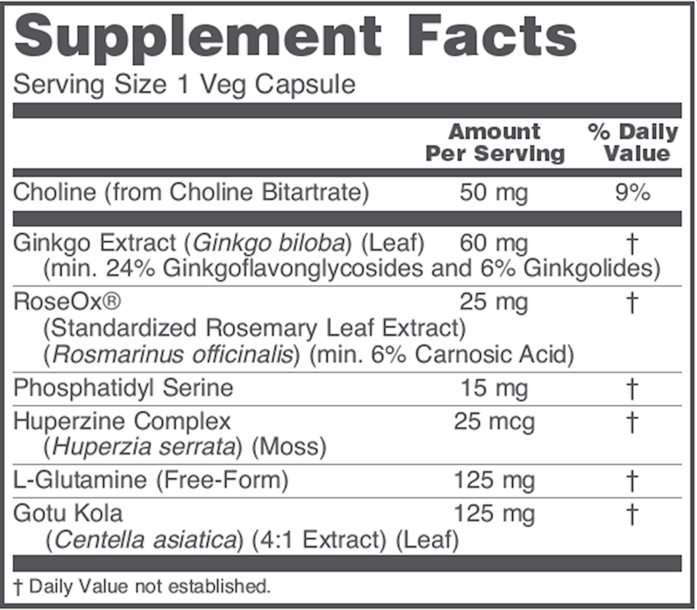 Brain Regain