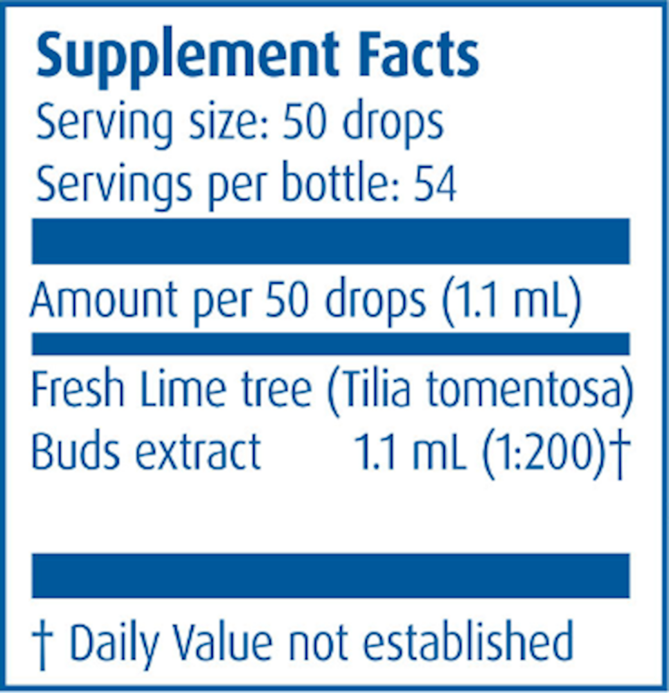 Lime Tree/Tilia Tomentosa