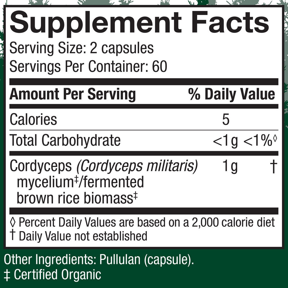 Cordyceps (Cordyceps Militaris)