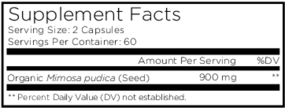 Organic Mimosa Pudica Seed