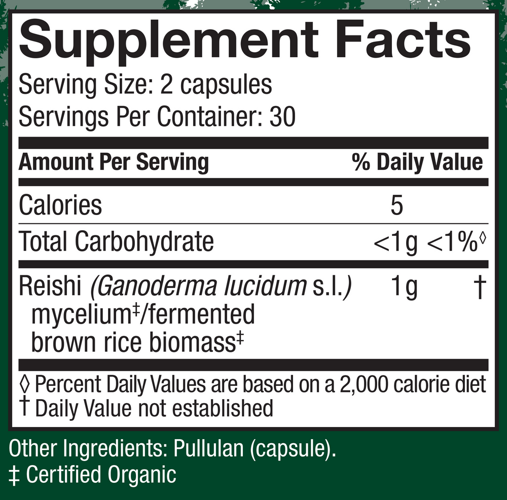 Reishi (Ganoderma lucidum)