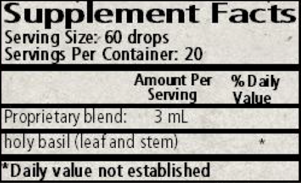 Ocimum spp. - Holy Basil