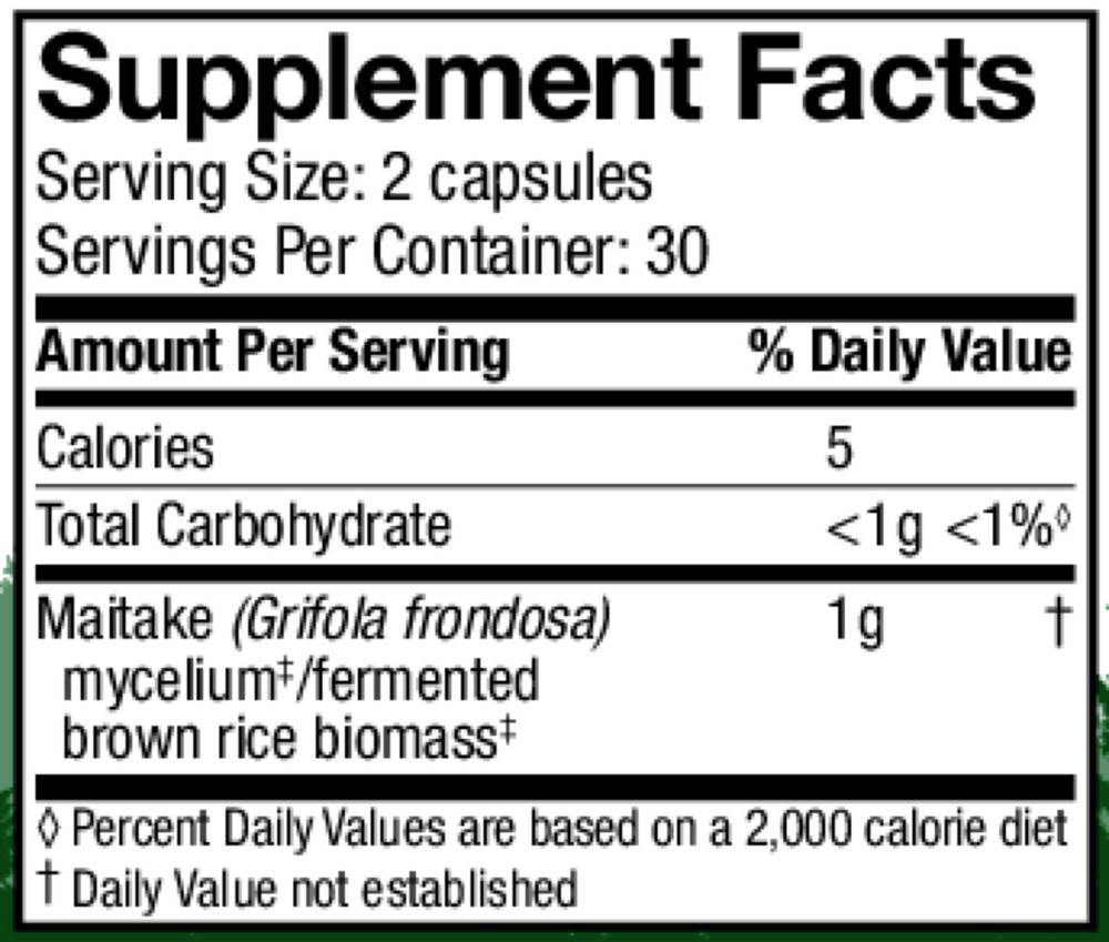 Maitake (Grifola frondosa)