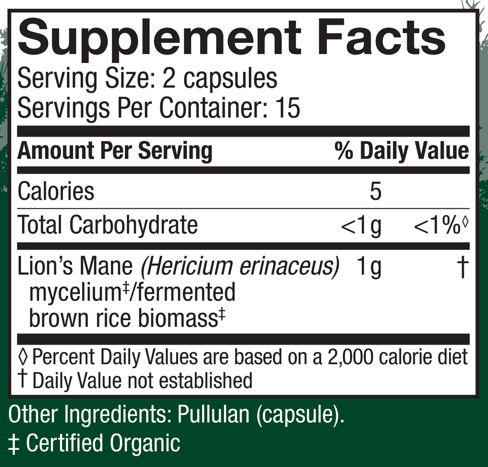 Lions Mane (Hericium erinaceus)