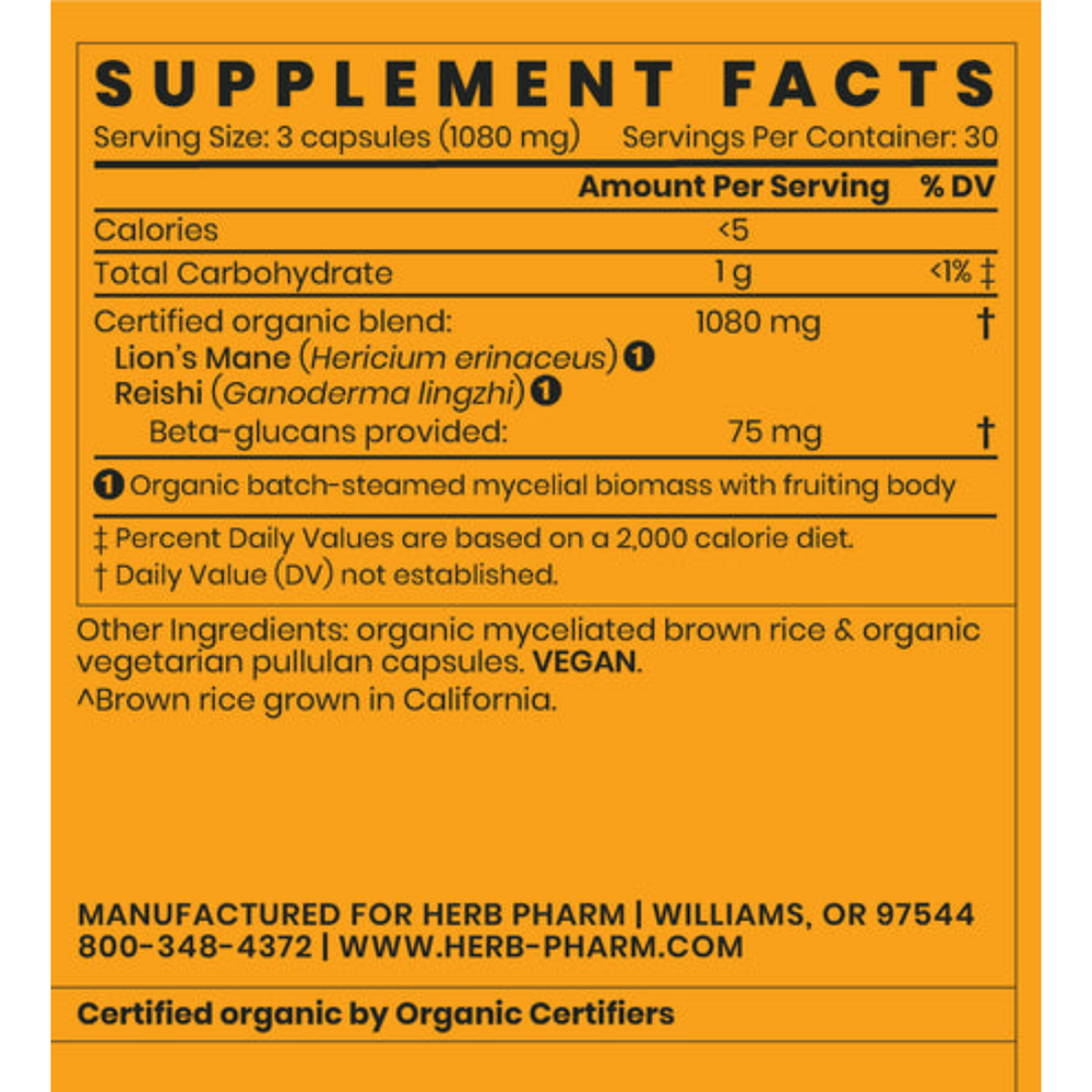 Lion's Mane Blend with Reishi