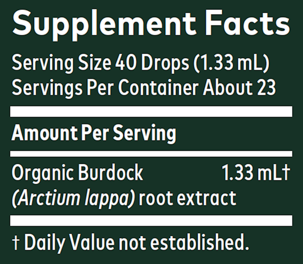 Burdock Root