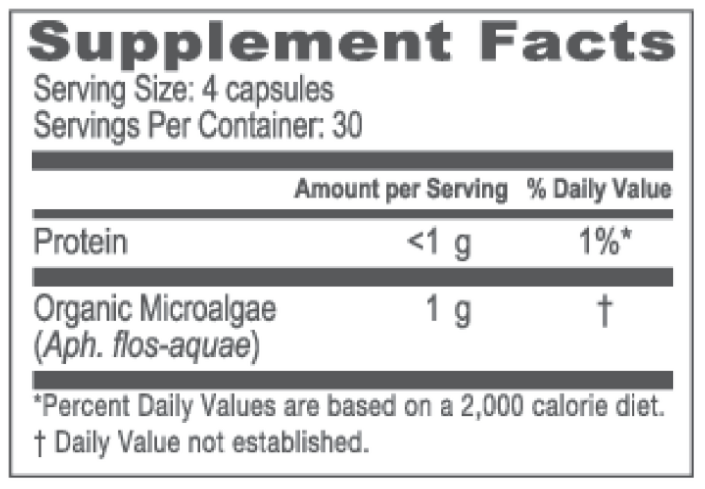 Body (Capsule)