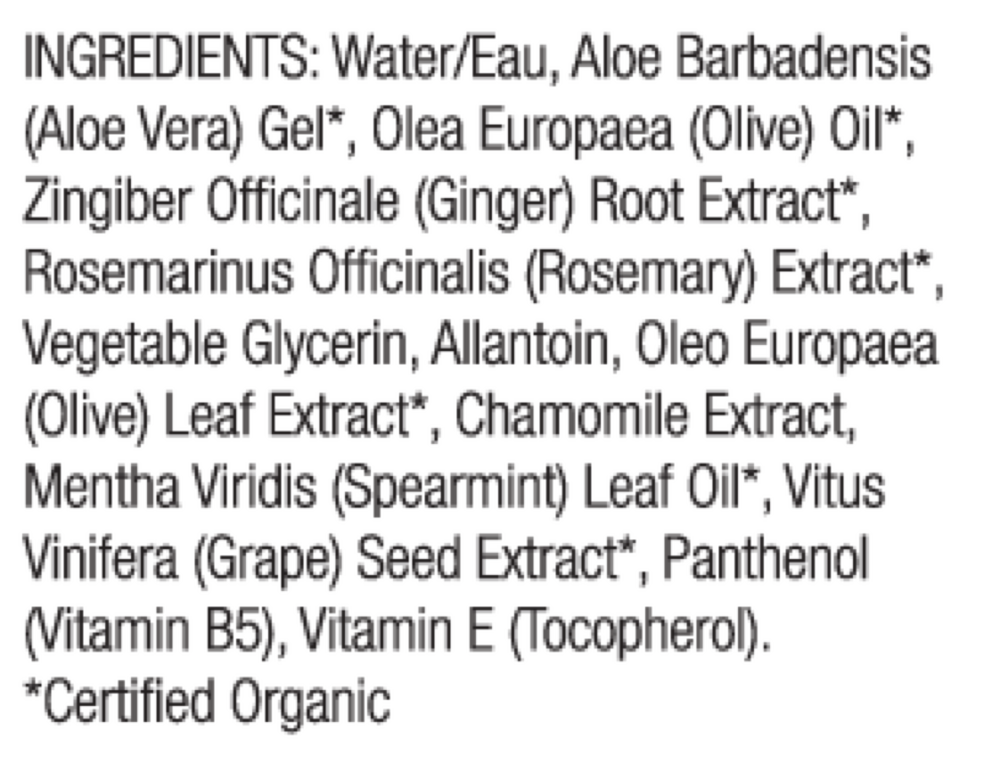 Wild Mint Conditioner