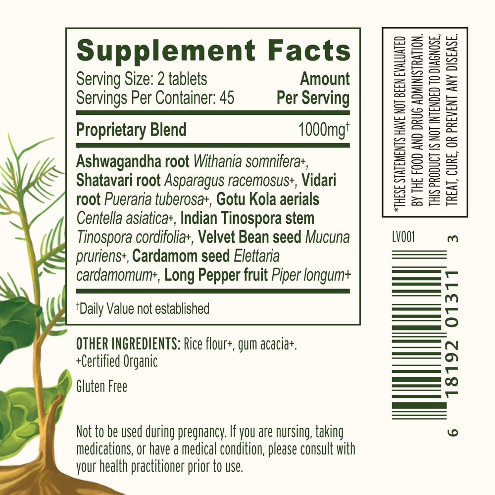Healthy Vata (Organic)
