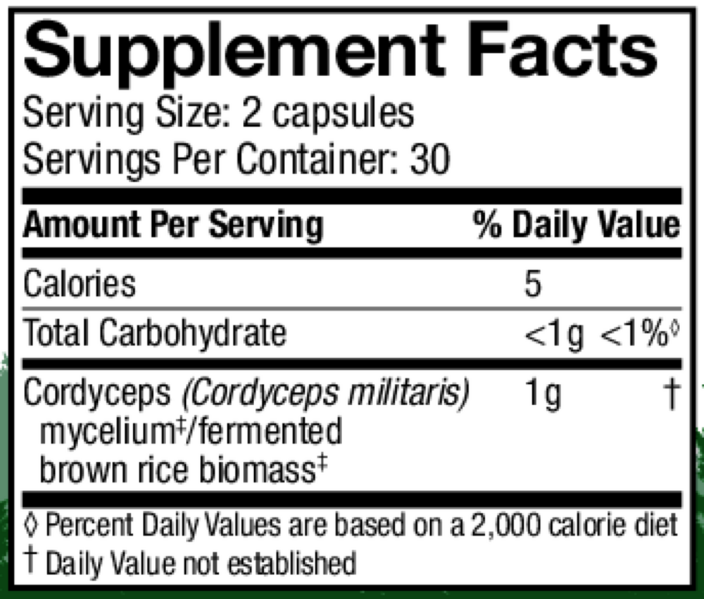 Cordyceps (Cordyceps Militaris)